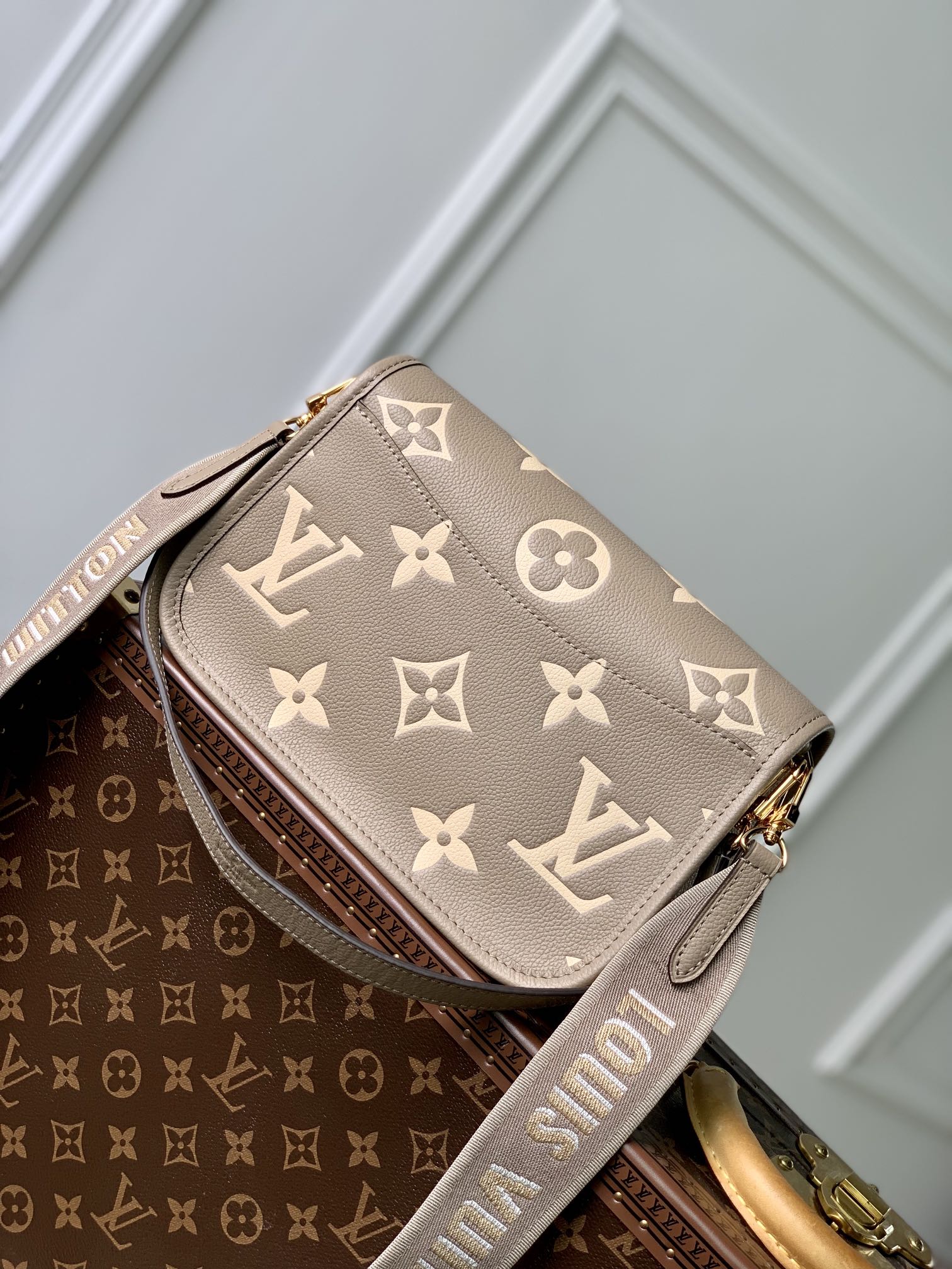 diane 24 dove cream biorcolor monogram empreinte leather