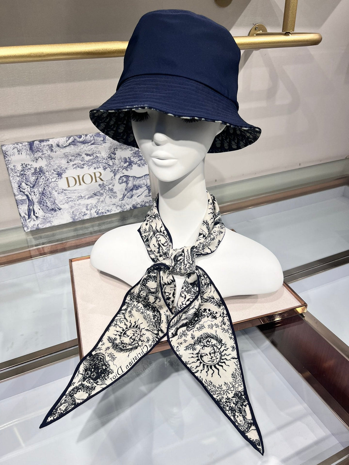 Dior 2026 Toile De Jouy Scarf 140cm Velvet 188566