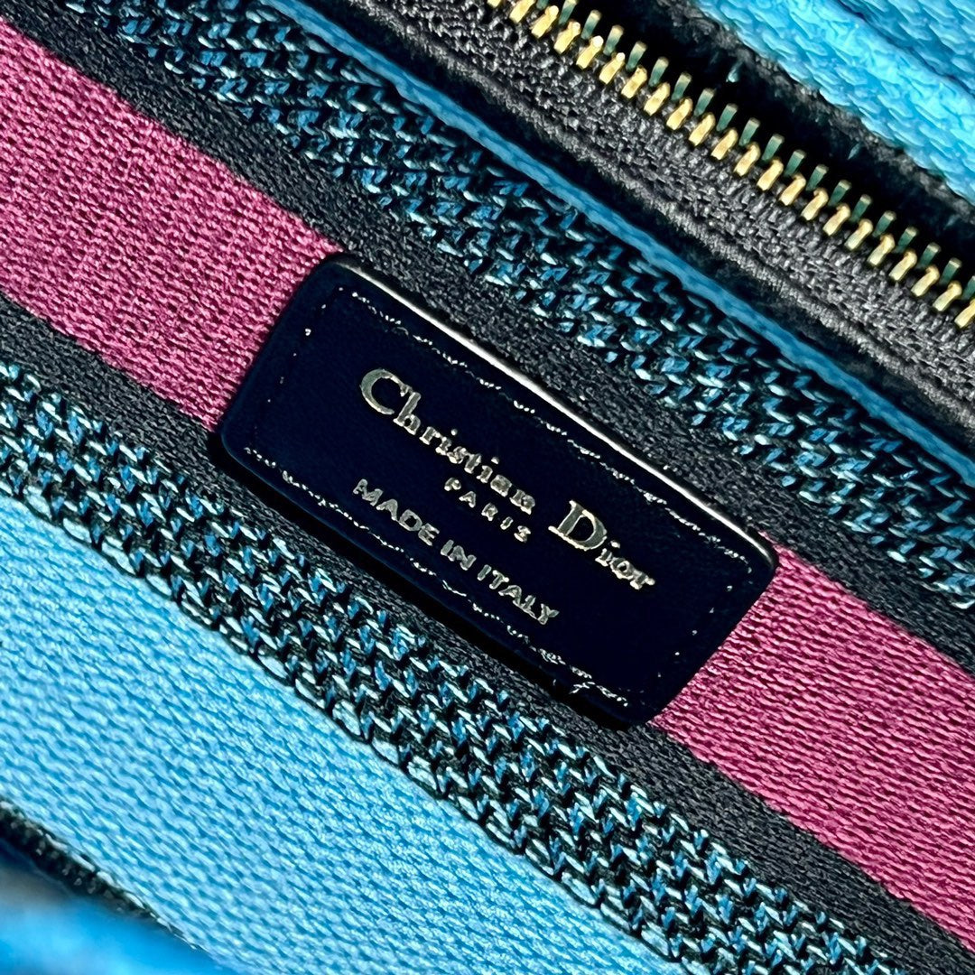 CD Elephant Blue 24 Lady Dior Bag Canvas 336679
