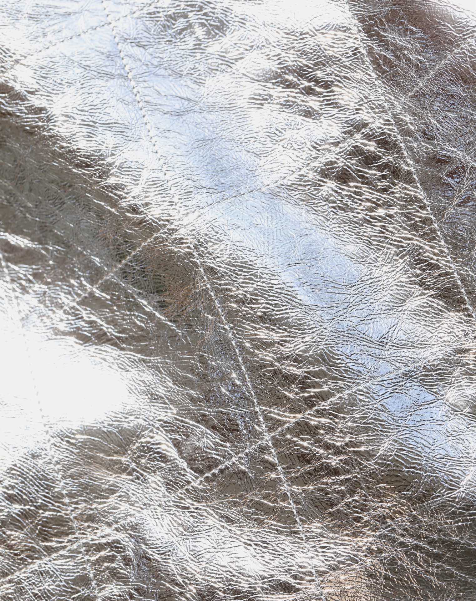 25C Hobo 22 Bag 35cm Silver Metalic Lambskin