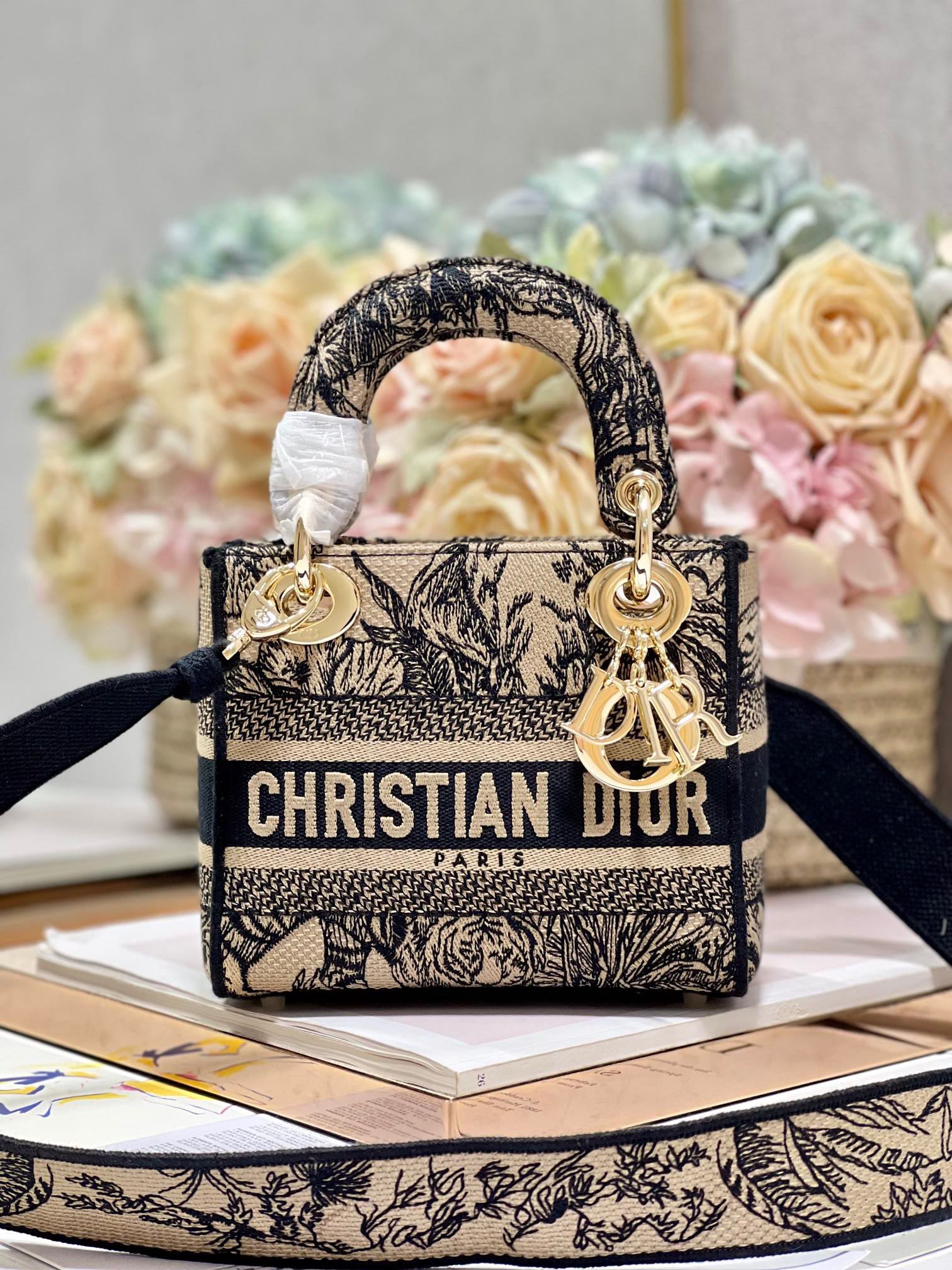 CD Elephant Apricot  17 Lady Dior Bag Canvas 336749