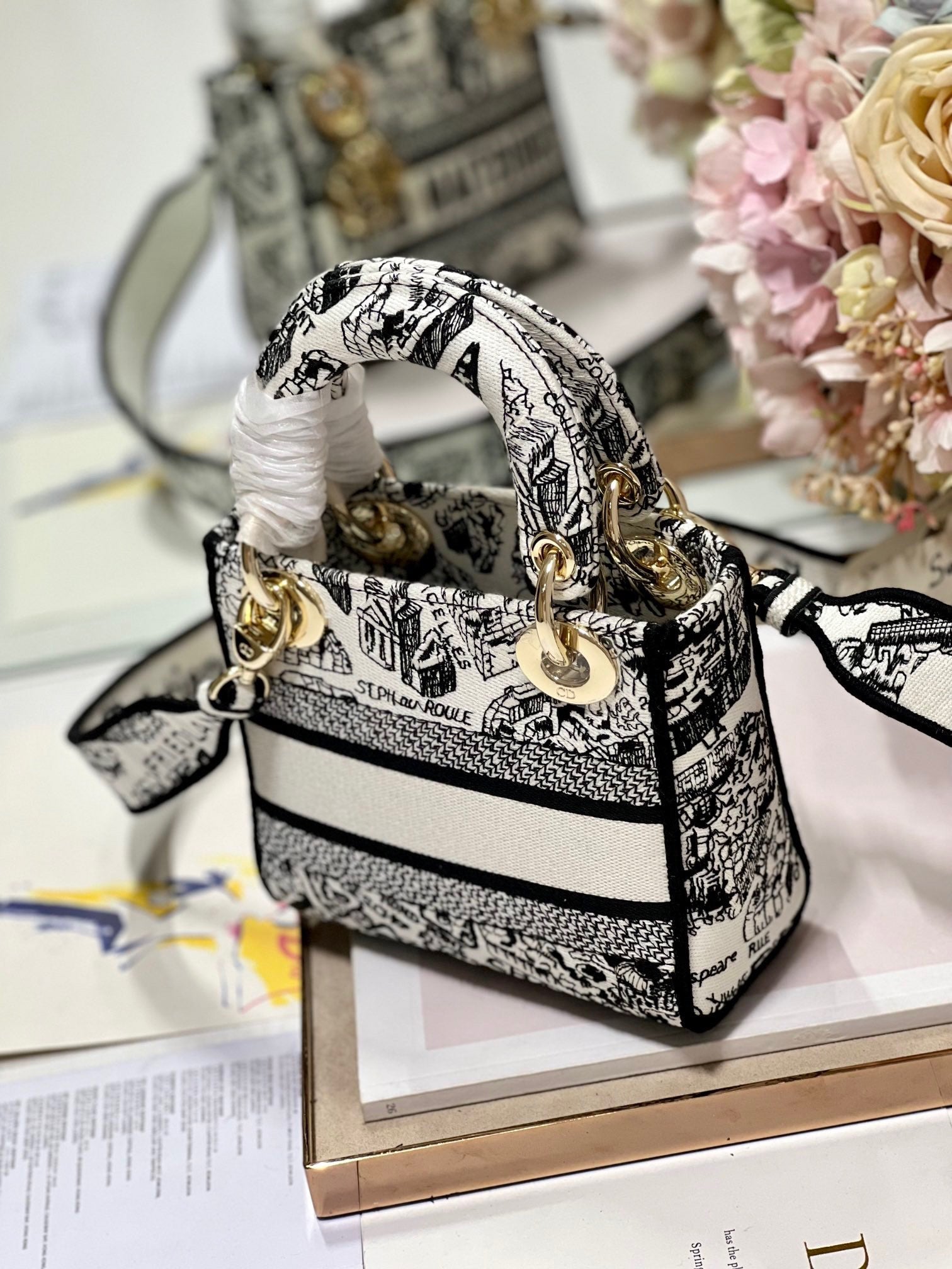 CD Paris White 17 Lady Dior Bag Canvas 336756