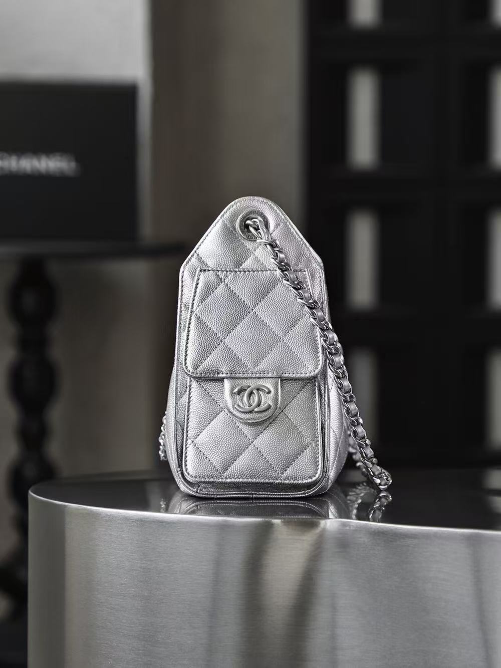 CC 25 Hobo Bag Mini 22cm Silver Metallic Grained Calfskin