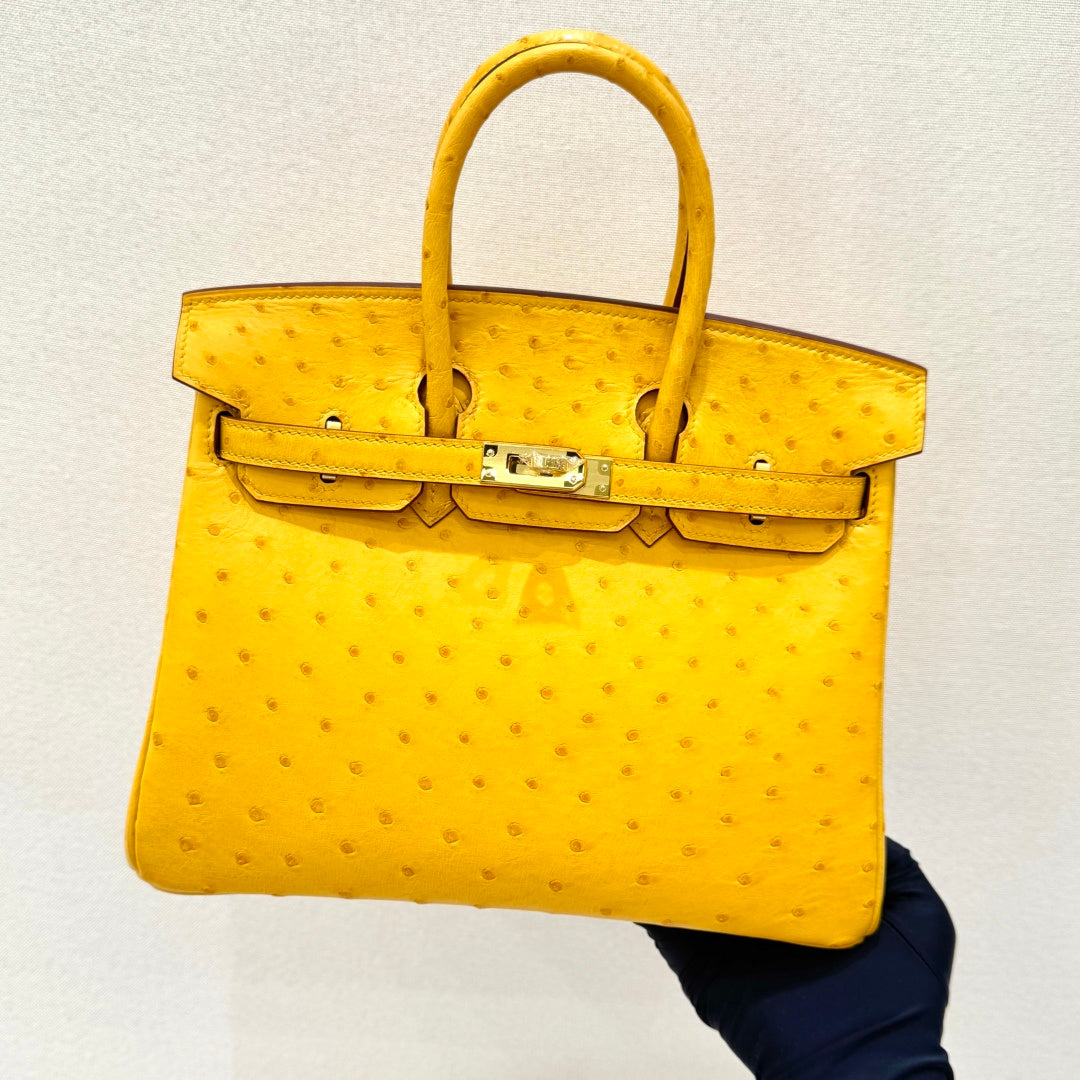 High-end Hermes 2026 Birkin 25cm Ostrich Leather