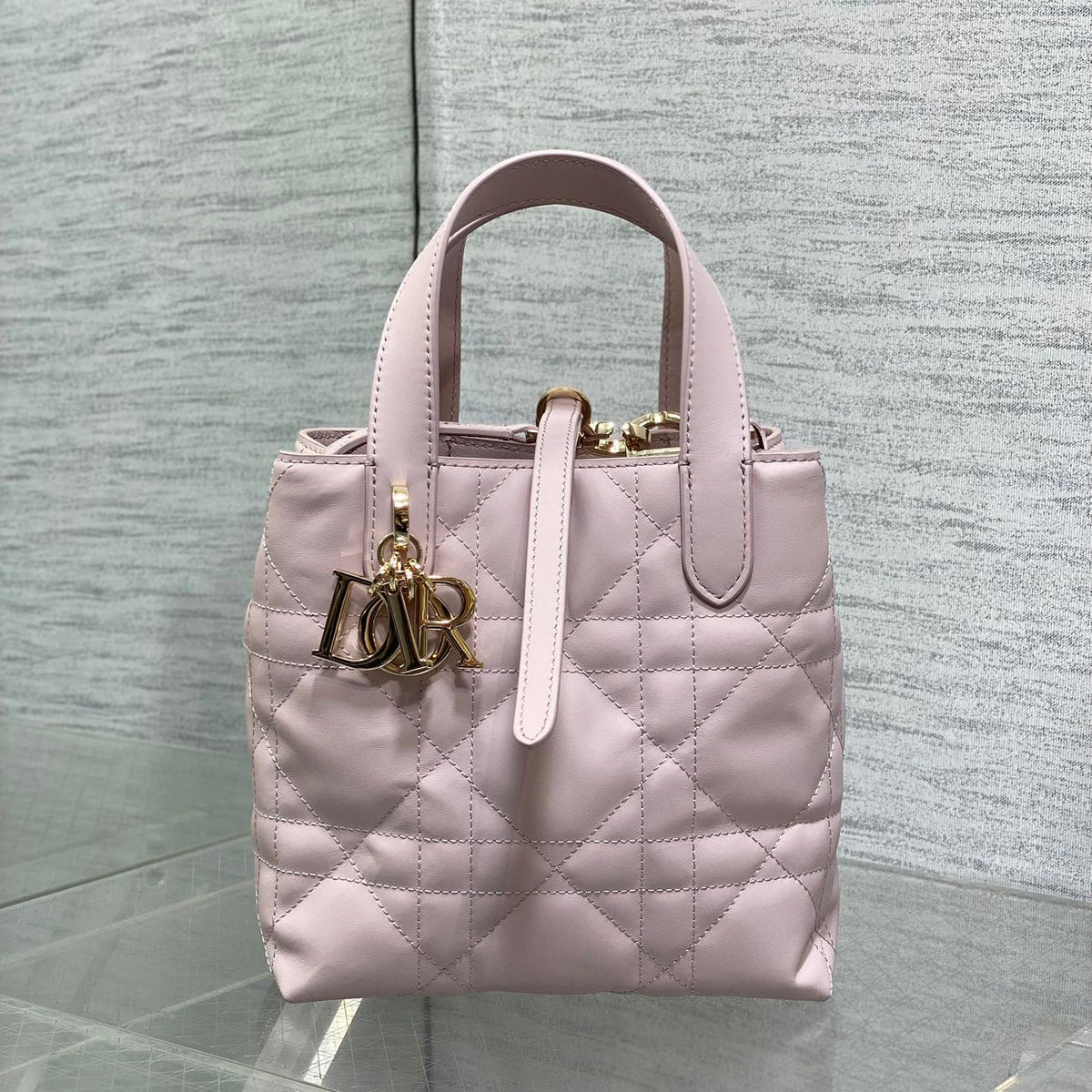 Dior 2026 Toujours Vertical Tote Bag 16cm Leather 406609