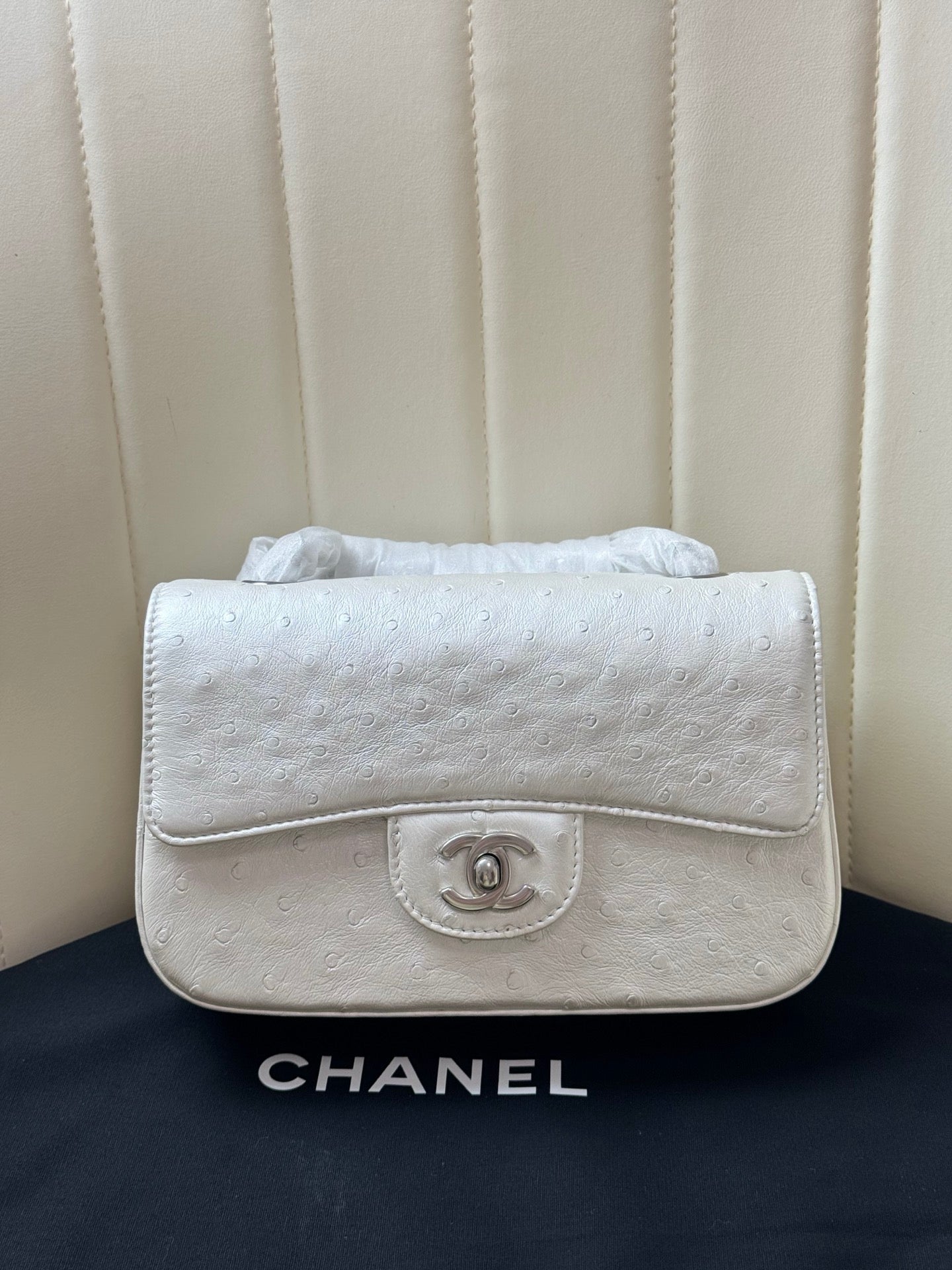 Chanel 2026 Flap Ostrich Embossed Bag 20cm Leather