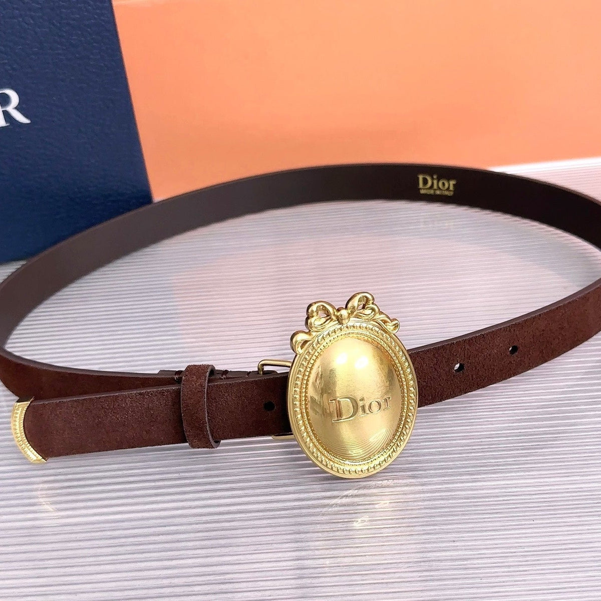 Dior 2026 Medaillon Belt 25mm Suede 218667