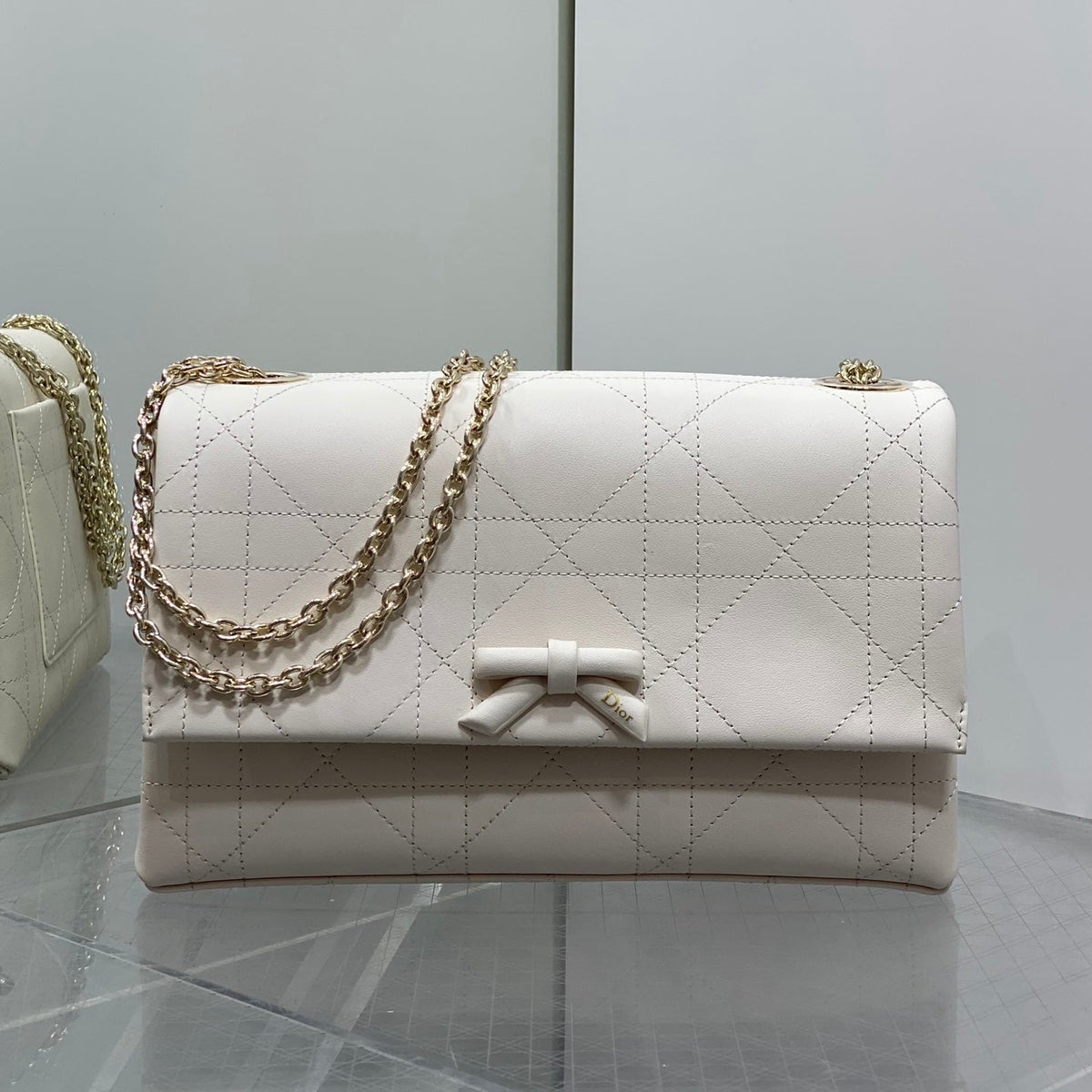 Dior 2026 Small Dior Promenade Flap Bag 25cm Leather Canvas 407157
