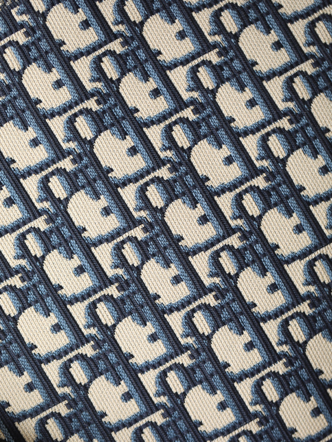 CD Monogram Backpack Blue Beige Canvas