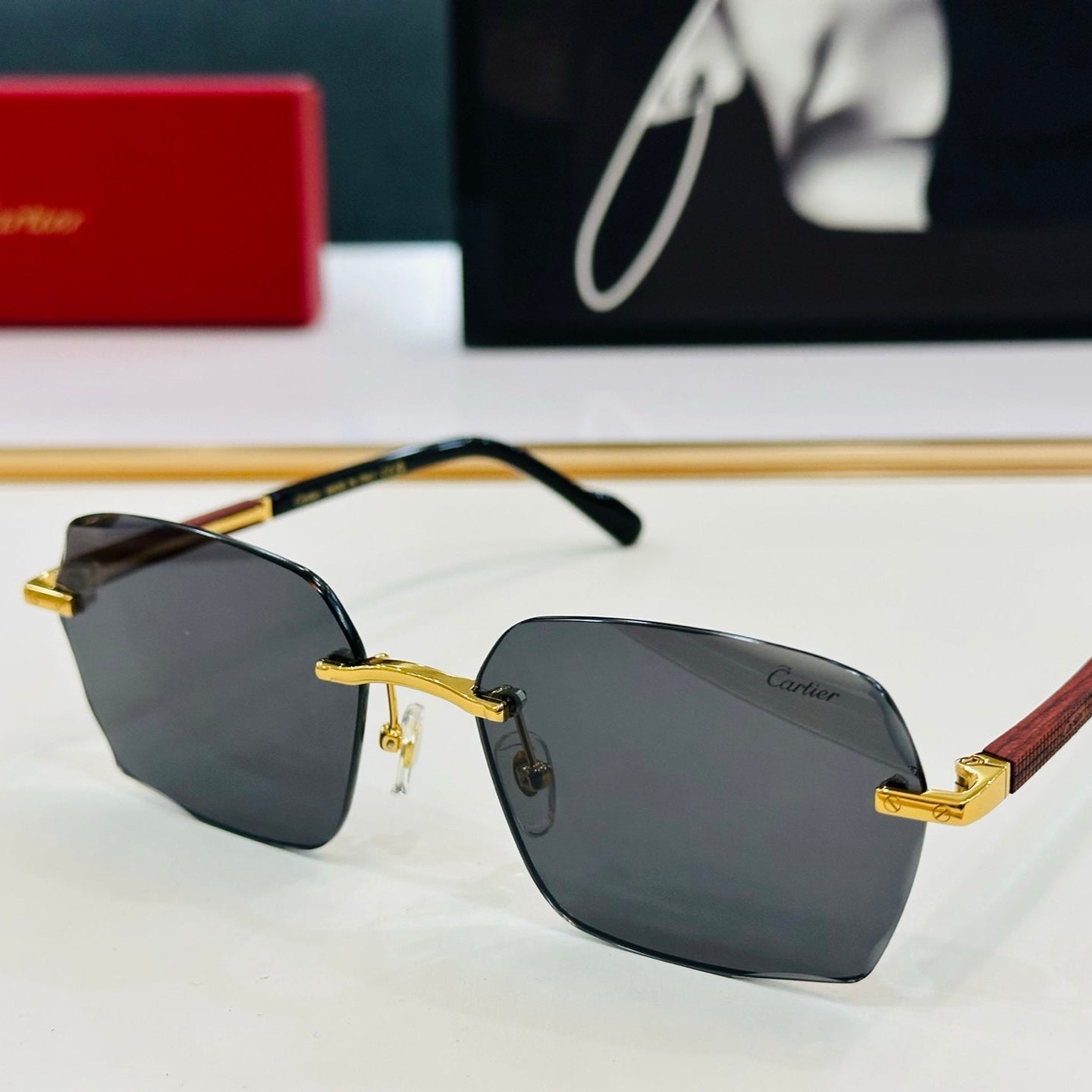 SIGNATURE C DE RECTANGULAR FRAME SUNGLASSES CT0483S IN METAL AND WOODEN