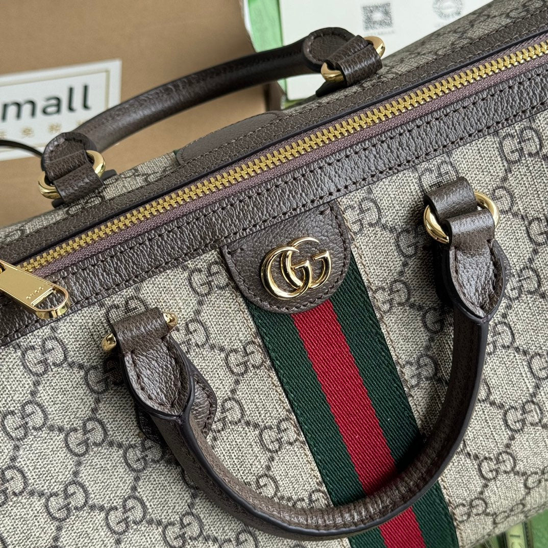 Gucci Ophidia Bag Beige mix Brown Canvas 240085