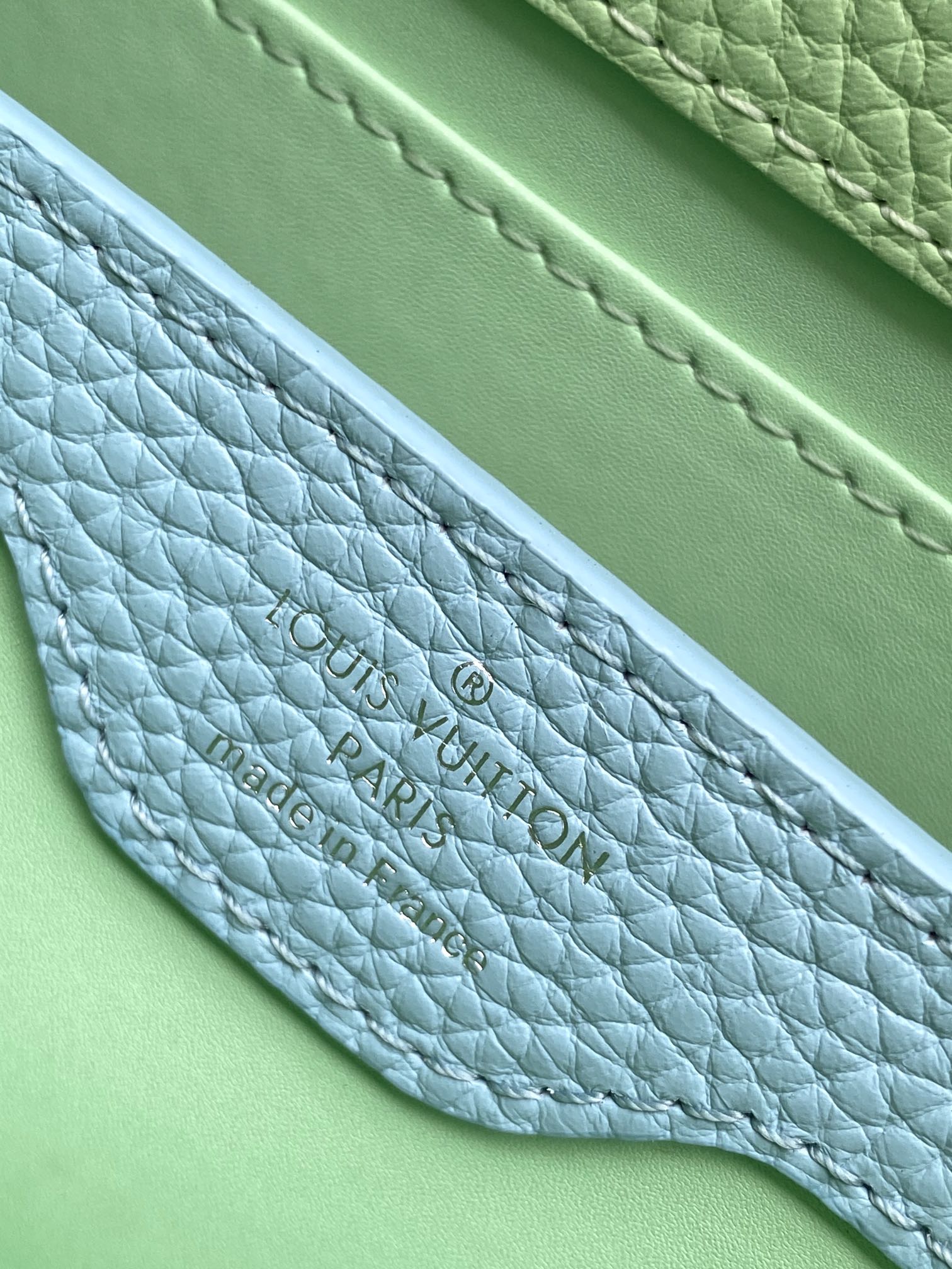 Capucines BB 21cm Bag Green Cowhide 251666