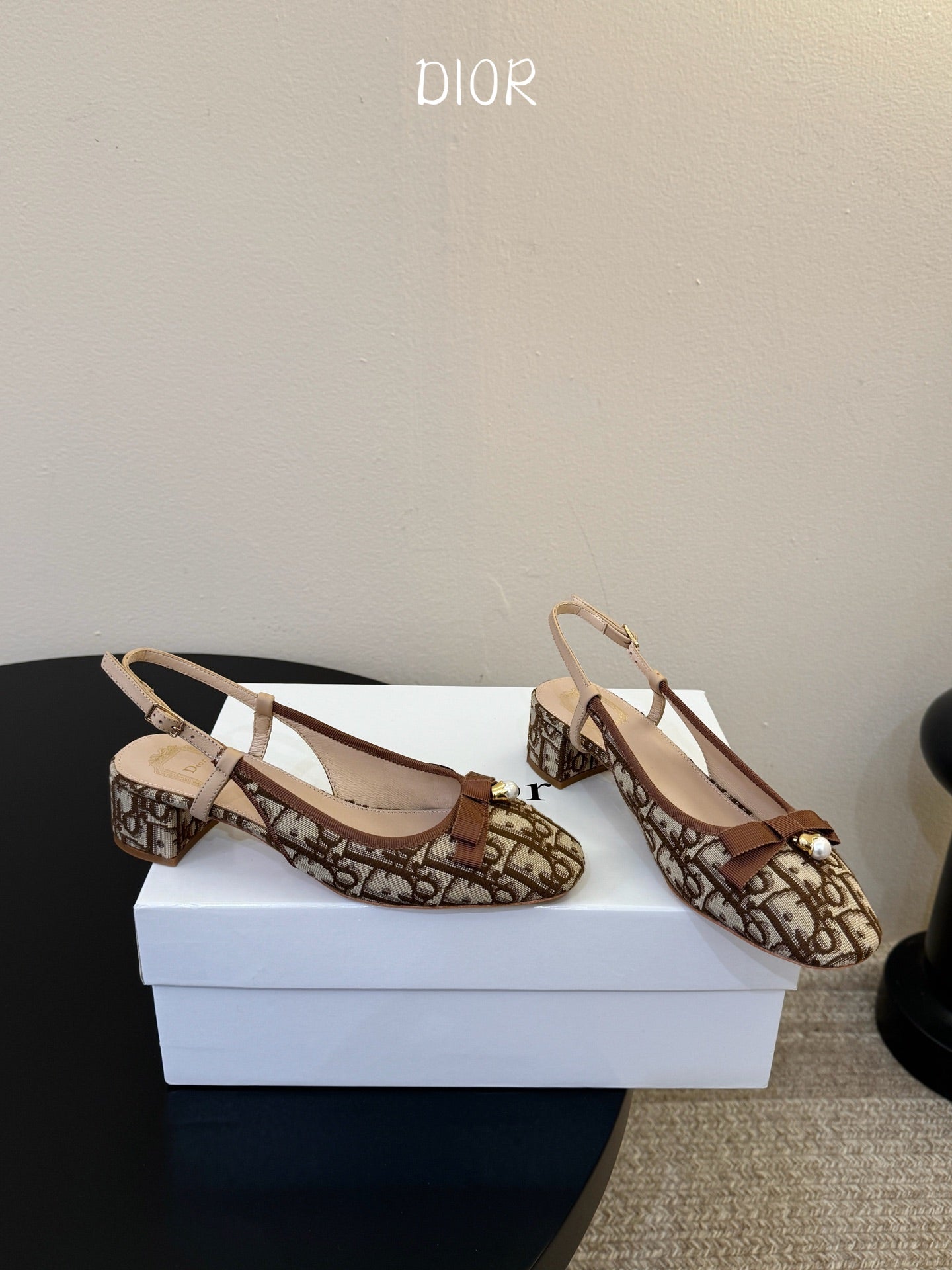 Dior 2026 Embroidered Slingback 30mm Cotton Leather 933329