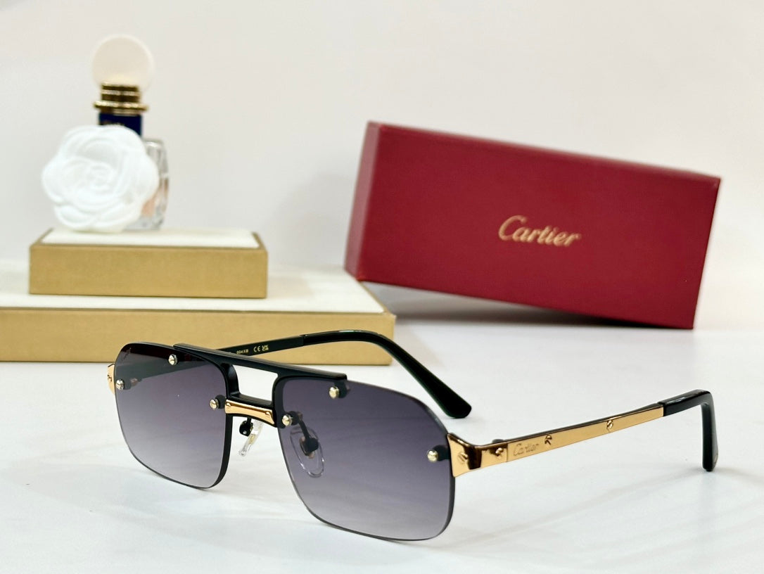 SANTOS RECTANGULAR FRAME SUNGLASSES CT0660S IN METAL