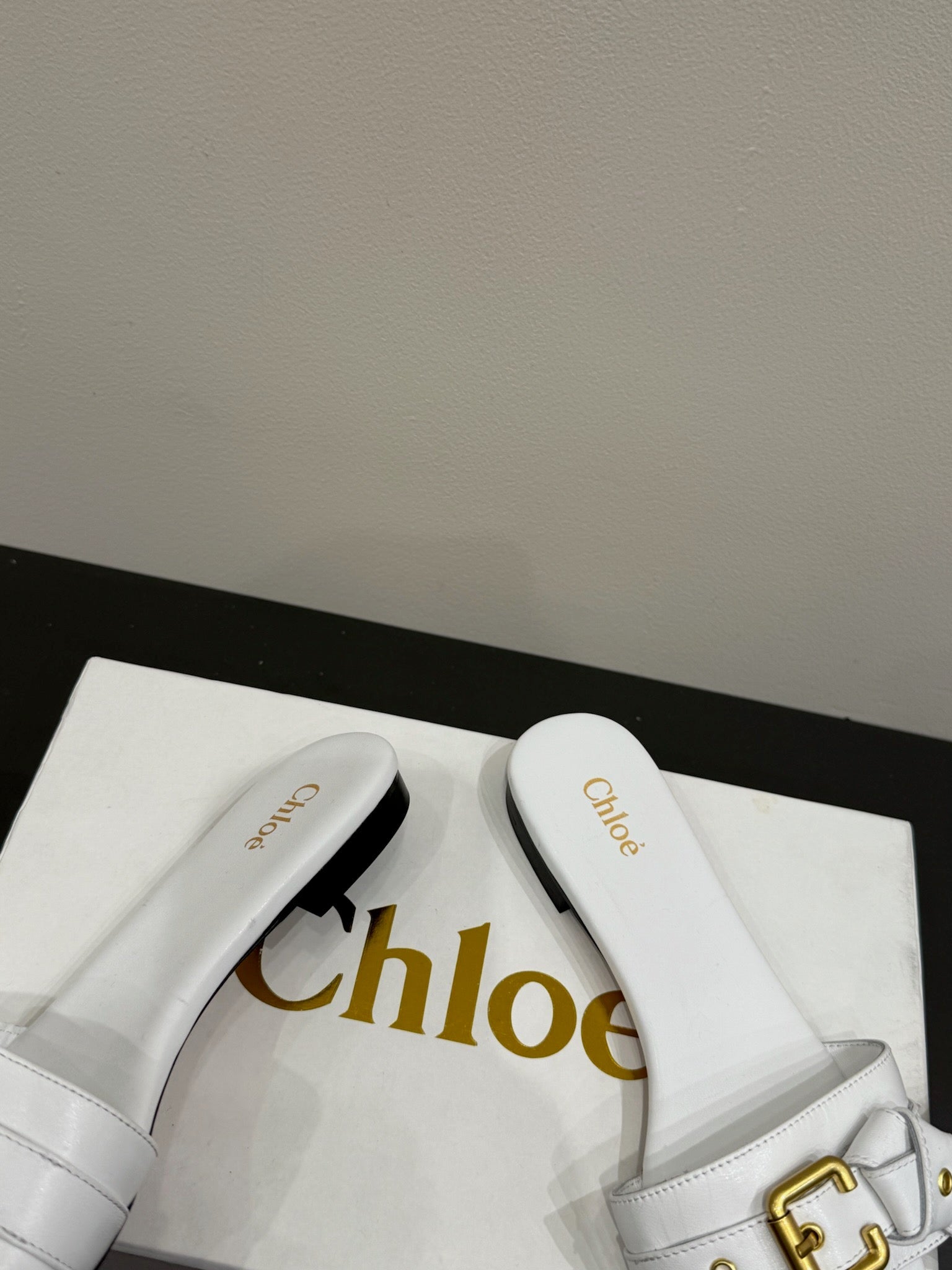 Loewe 25 Bow Metal Buckle Slide White Cowhide