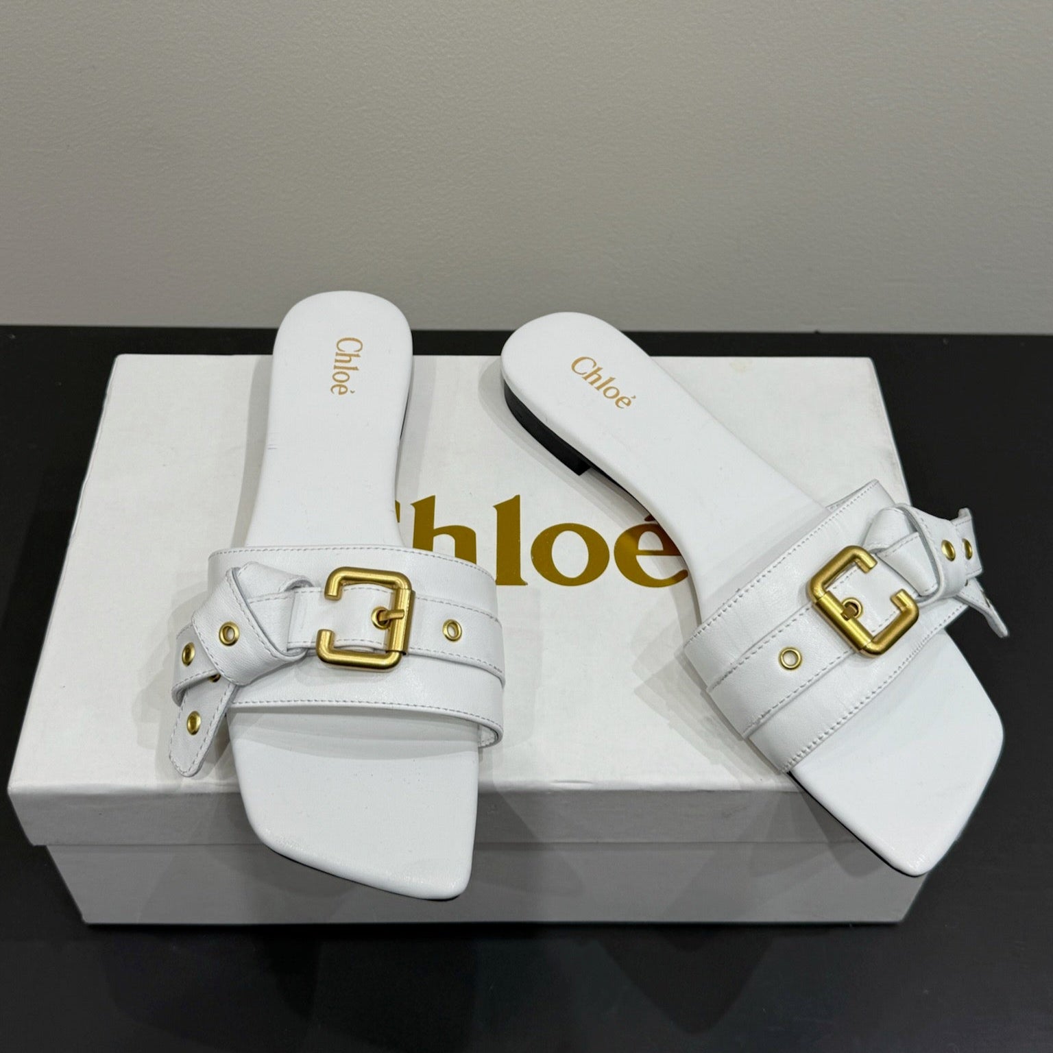 Loewe 25 Bow Metal Buckle Slide White Cowhide