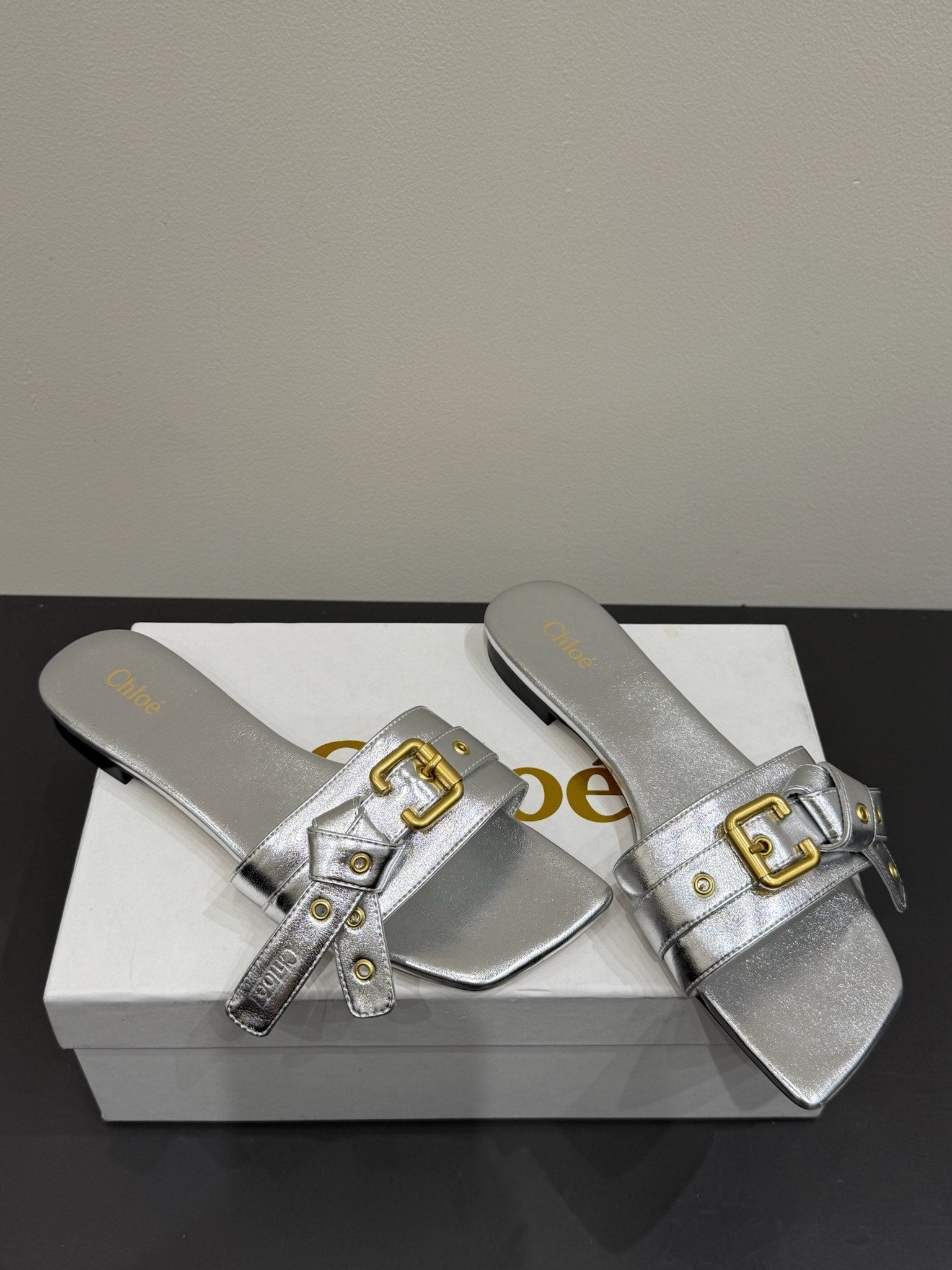 Loewe 25 Bow Metal Buckle Slide Sliver Cowhide