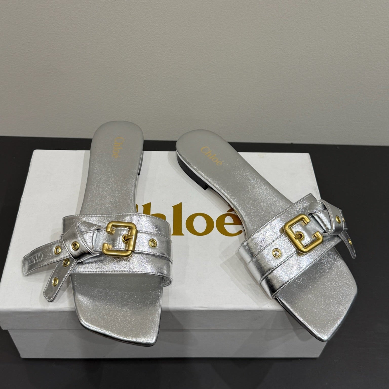 Loewe 25 Bow Metal Buckle Slide Sliver Cowhide