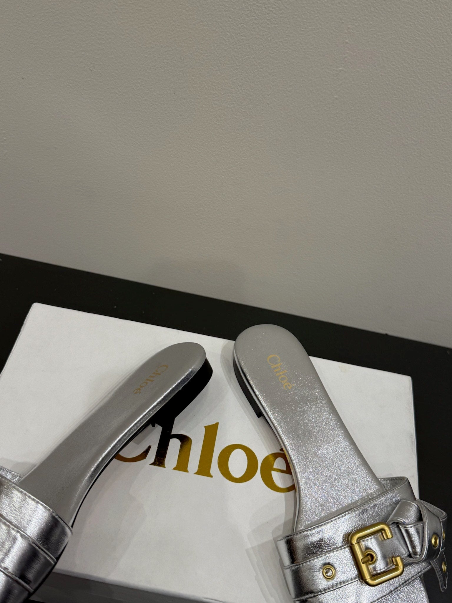 Loewe 25 Bow Metal Buckle Slide Sliver Cowhide