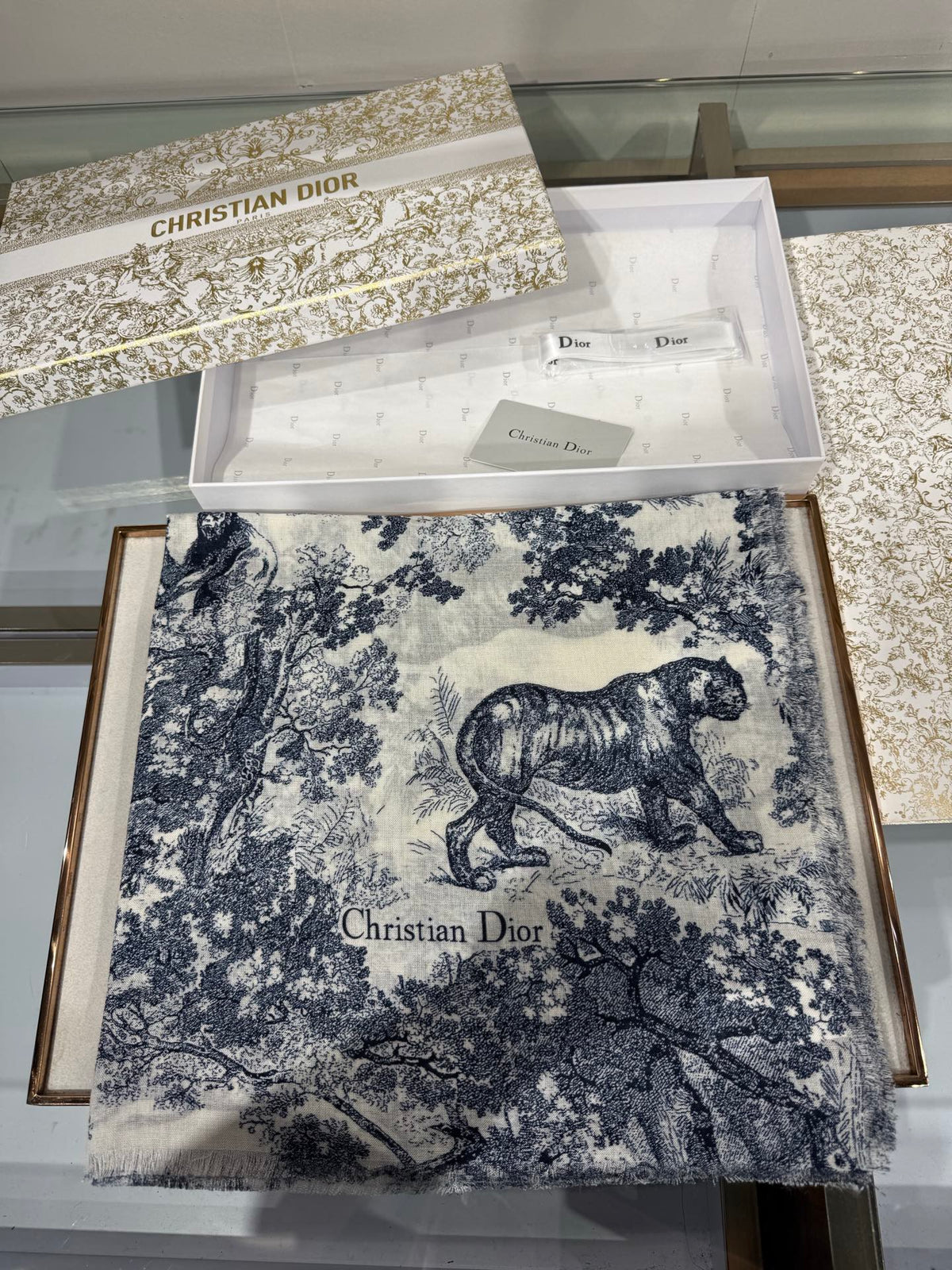 Dior 2026 Toile De Jouy Print Scarf 190cm Cashmere And Silk 217016