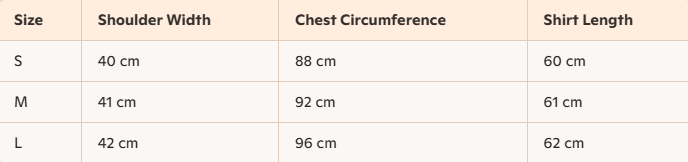 Celine Arc de Triomphe T-shirt Black White Cotton