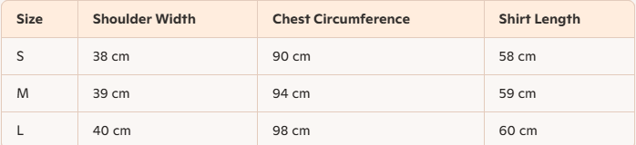 Celine "CELINE PARIS" T-shirt Gray Black Blue cotton